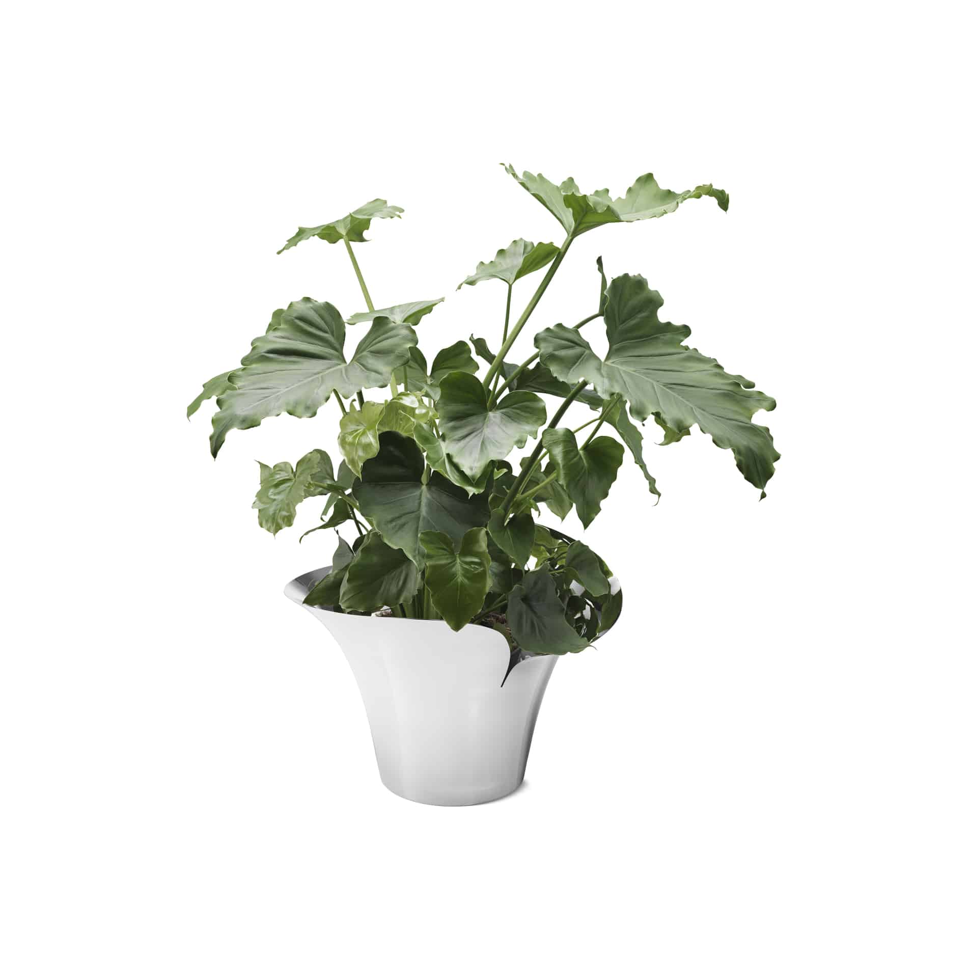 Bloom Botanica urtepotte, Large