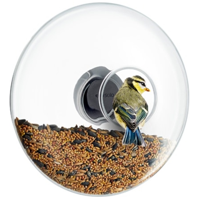 Window Bird Feeder Ball - Large