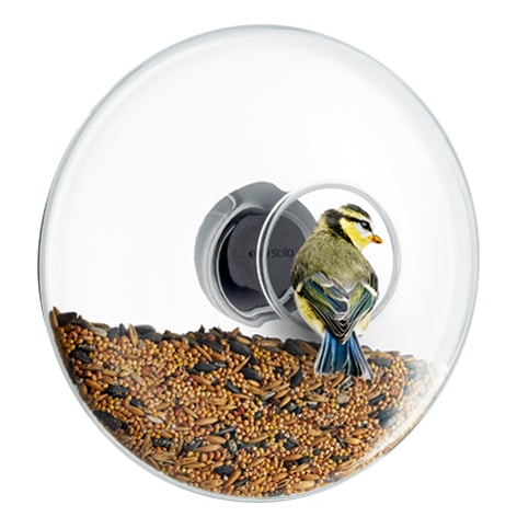 Window Bird Feeder Ball - Large