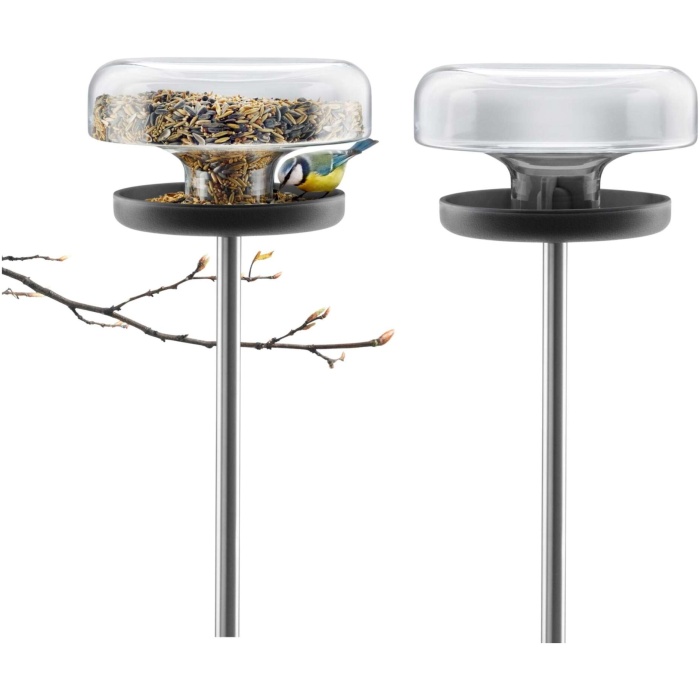 Bird Feeder