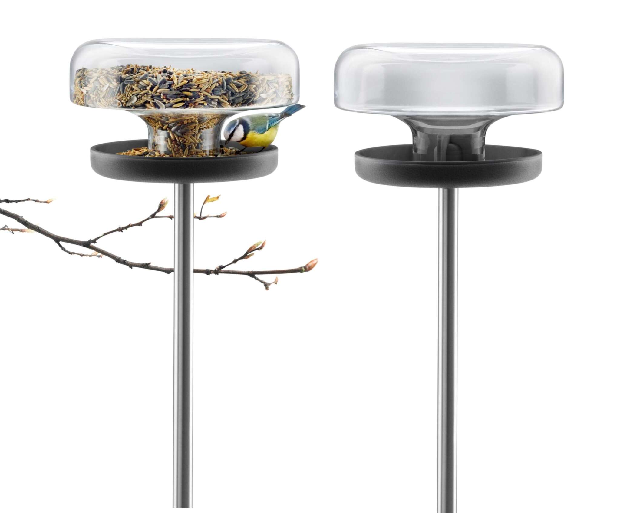 Bird Feeder