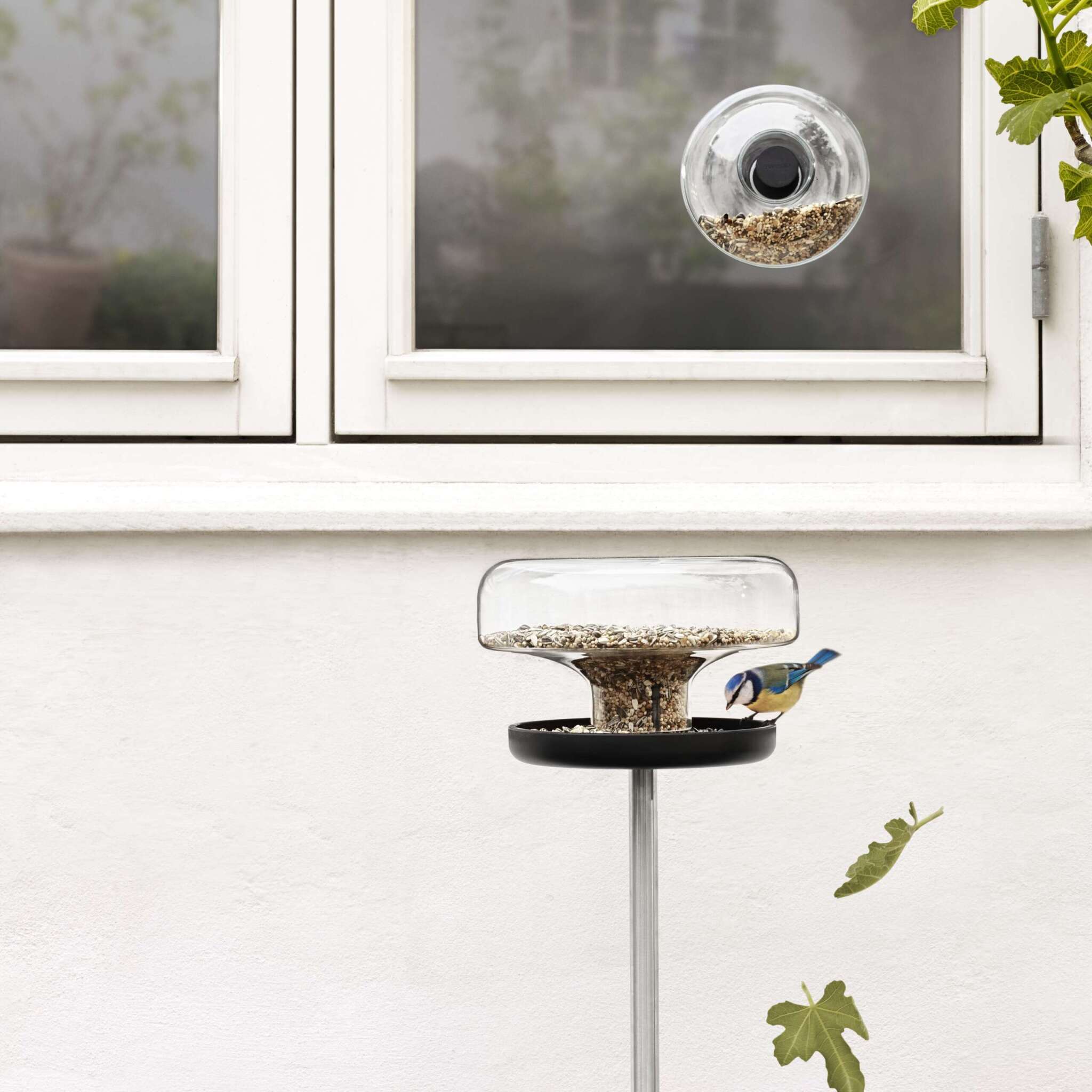 Bird Feeder - Image 2