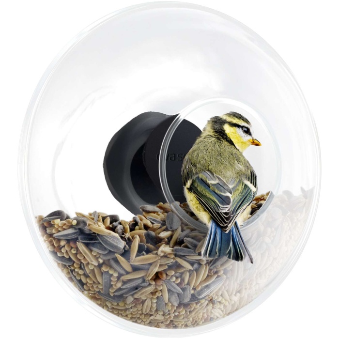 Window Bird Feeder Ball - Small